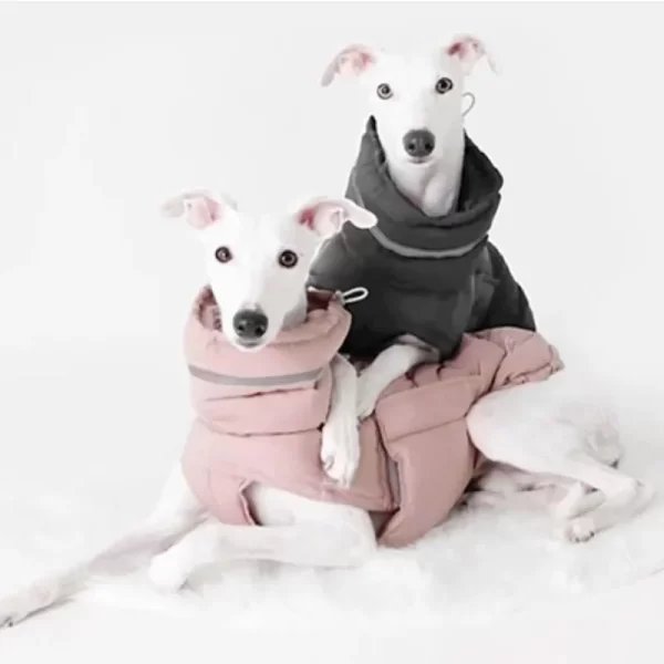 Winter Dog Clothes Reflective Waterproof Pet Down Jacket for Small Medium Dogs French Bulldog Golden Retriever Rain Coat Outfit - Image 17